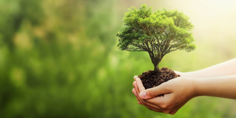 Wakaf Air Bersih Desa Sukamaju